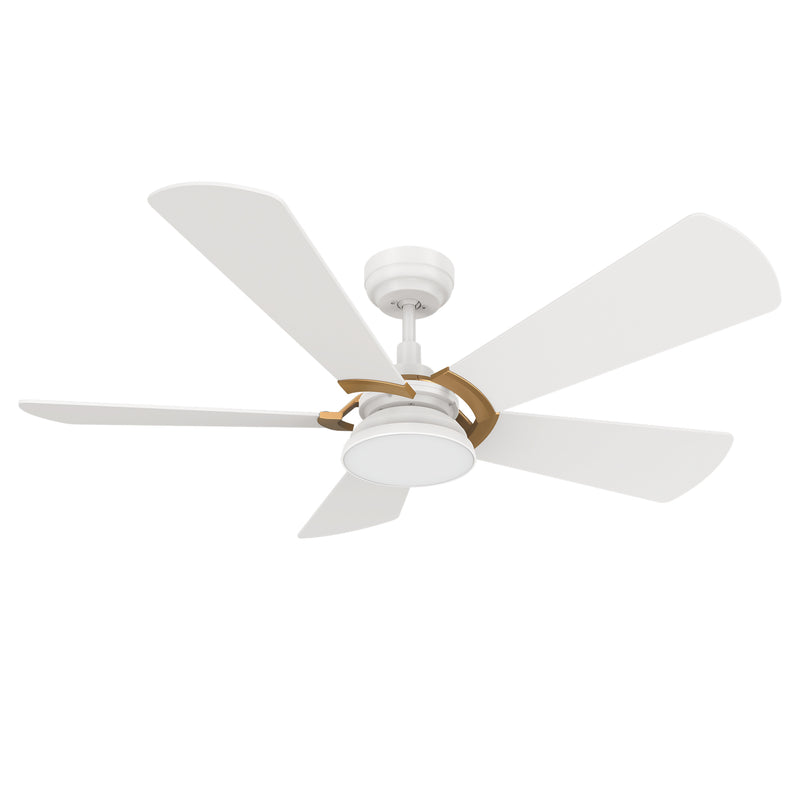 Carro SAVILI 52 inch 5-Blade Smart Ceiling Fan with LED Light Kit & Remote Control- White/White (Gold Details)