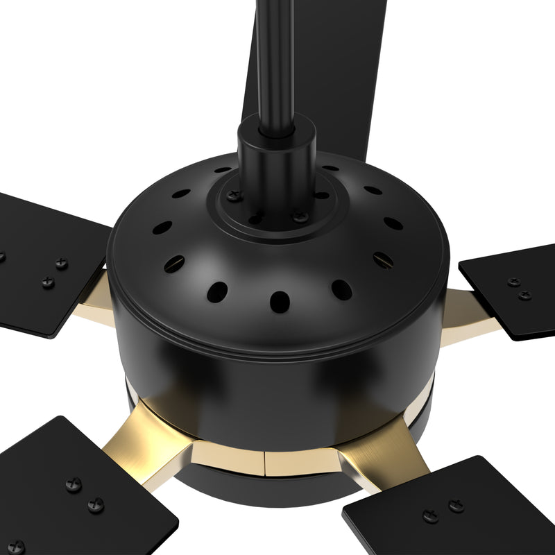 Carro Home APPLETON 52 inch 5-Blade Smart Ceiling Fan with LED Light Kit & Remote Control- Black/Black (Gold Details) fan blades