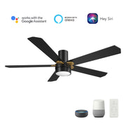 Carro TAMPA 52 inch 5-Blade Flush Mount Smart Ceiling Fan with LED Light Kit & Remote- Black/Black