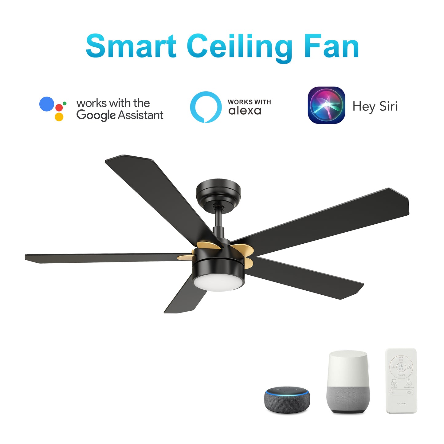 Carro TARRASA 52 inch 5-Blade Smart Ceiling Fan with LED Light Kit & Remote Control- Black/Black (Gold Details)