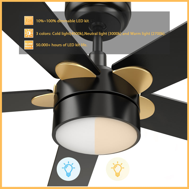 Carro TARRASA 52 inch 5-Blade Smart Ceiling Fan with LED Light Kit & Remote Control- Black/Black (Gold Details)