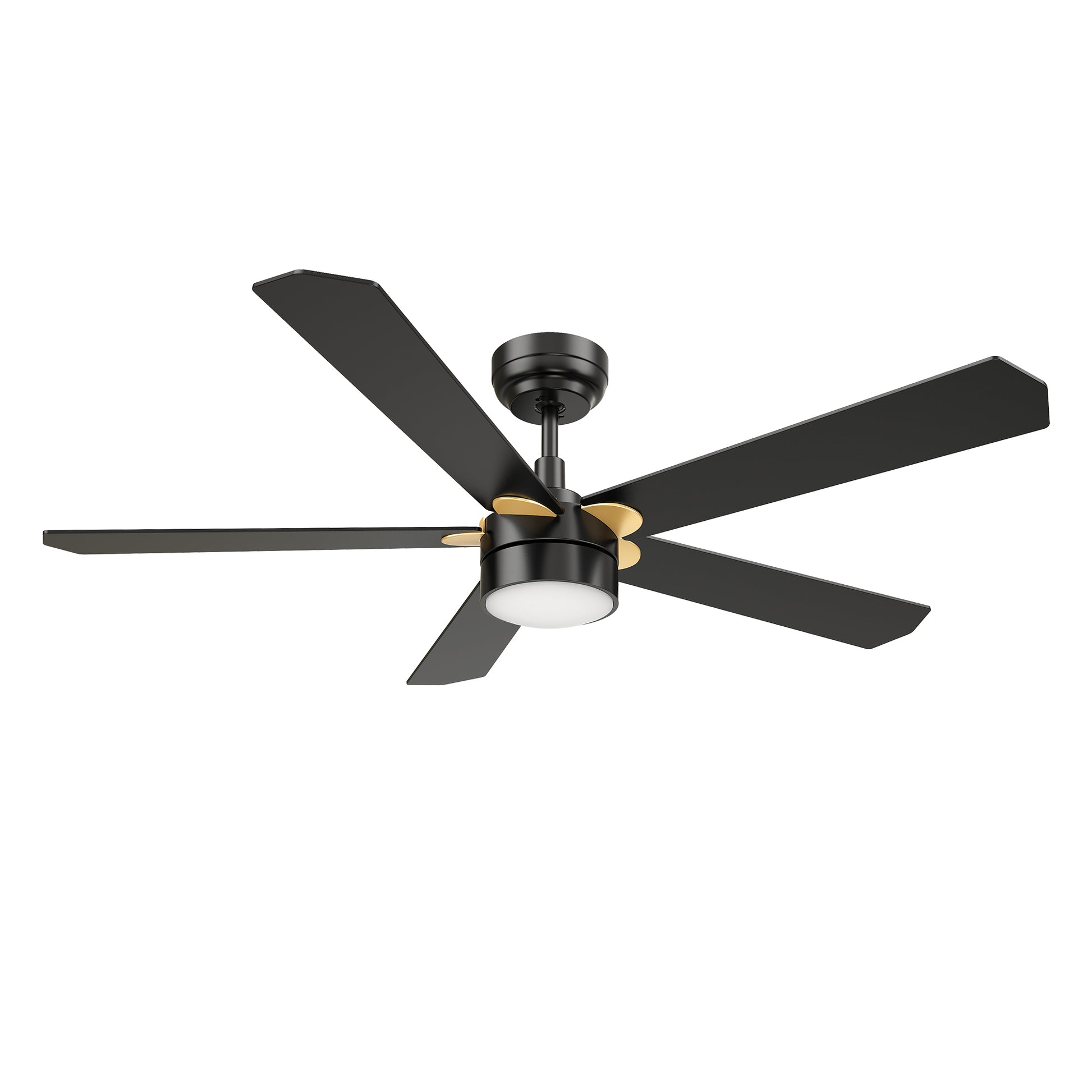 Carro TARRASA 52 inch 5-Blade Smart Ceiling Fan with LED Light Kit & Remote Control- Black/Black (Gold Details)