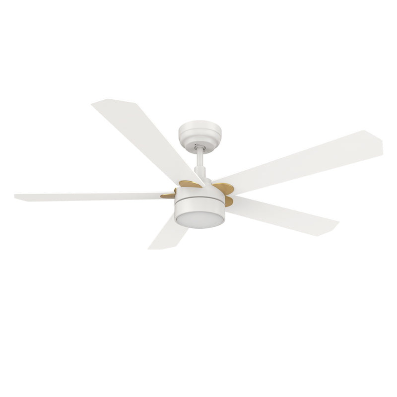 Carro TARRASA 52 inch 5-Blade Smart Ceiling Fan with LED Light Kit & Remote Control- White/White (Gold Details)