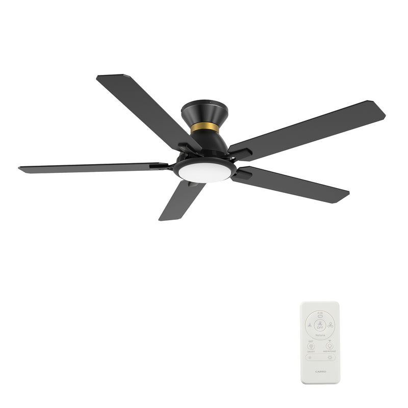 Carro ESPEAR 52 inch Flush Mount 5-Blade Smart Ceiling Fan with LED Light Kit & Remote - Black/Black (Gold Detail)