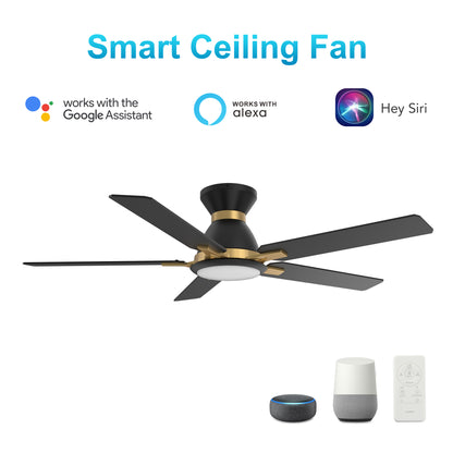 Carro Home ESPEAR 52 inch Flush Mount 5-Blade Smart Ceiling Fan with LED Light Kit & Remote - Black/Black (Gold Detail) fan blades