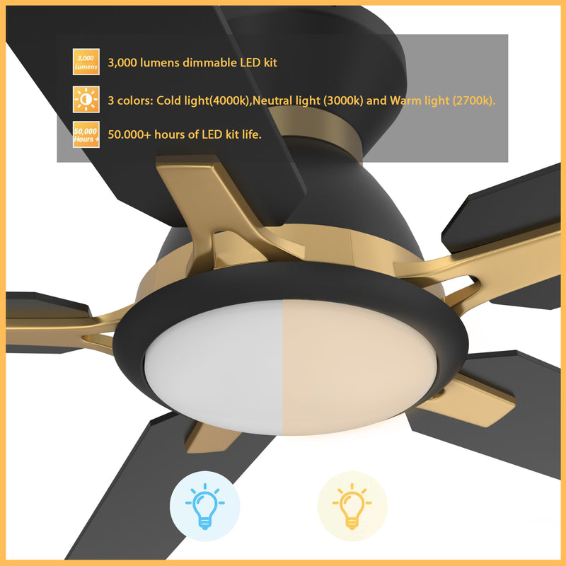 Carro Home ESPEAR 52 inch Flush Mount 5-Blade Smart Ceiling Fan with LED Light Kit & Remote - Black/Black (Gold Detail) fan blades