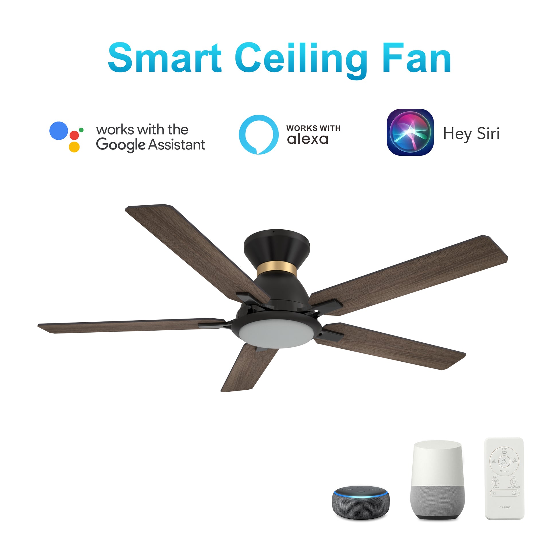 Carro ESPEAR 52 inch Flush Mount 5-Blade Smart Ceiling Fan with LED Light Kit & Remote - Black (Gold Detail) /Walnut & Barnwood (Reversible Blades)