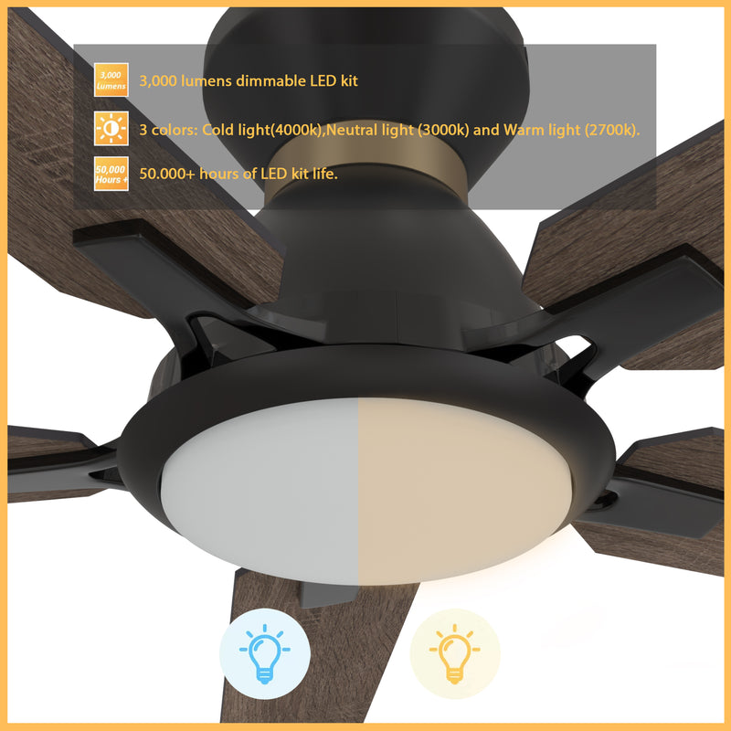 Carro ESPEAR 52 inch Flush Mount 5-Blade Smart Ceiling Fan with LED Light Kit & Remote - Black (Gold Detail) /Walnut & Barnwood (Reversible Blades)