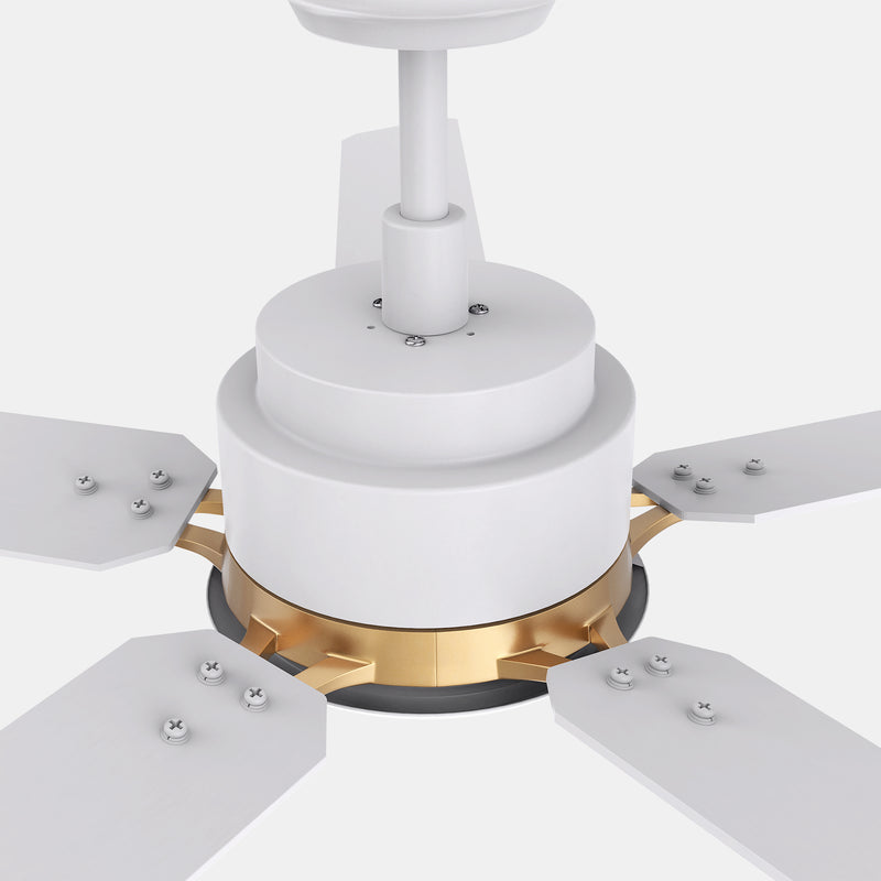 Carro Home ESPEAR 52 inch 5-Blade Smart Ceiling Fan with LED Light Kit & Remote - White/White (Gold Detail)