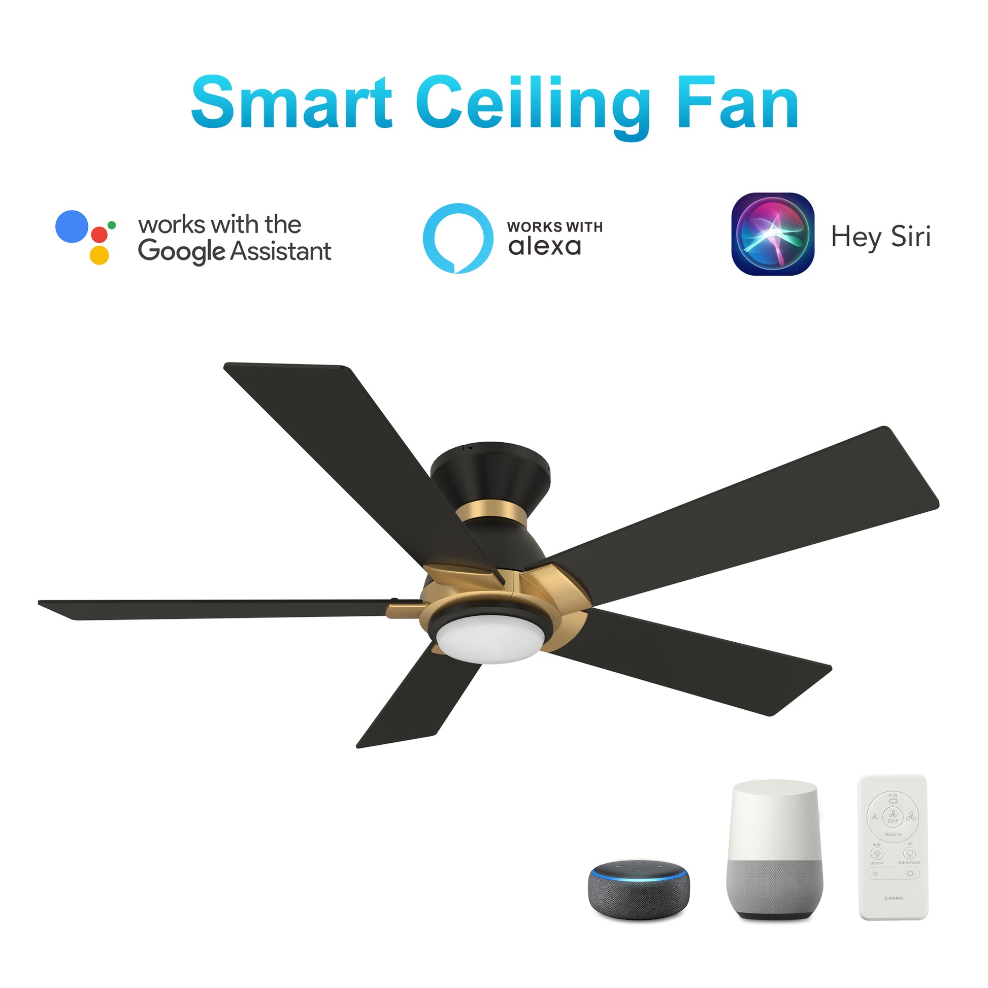 Carro ASCENDER 52 inch 5-Blade Flush Mount Smart Ceiling Fan with LED Light & Remote Control - Black/Black (Gold Detail)