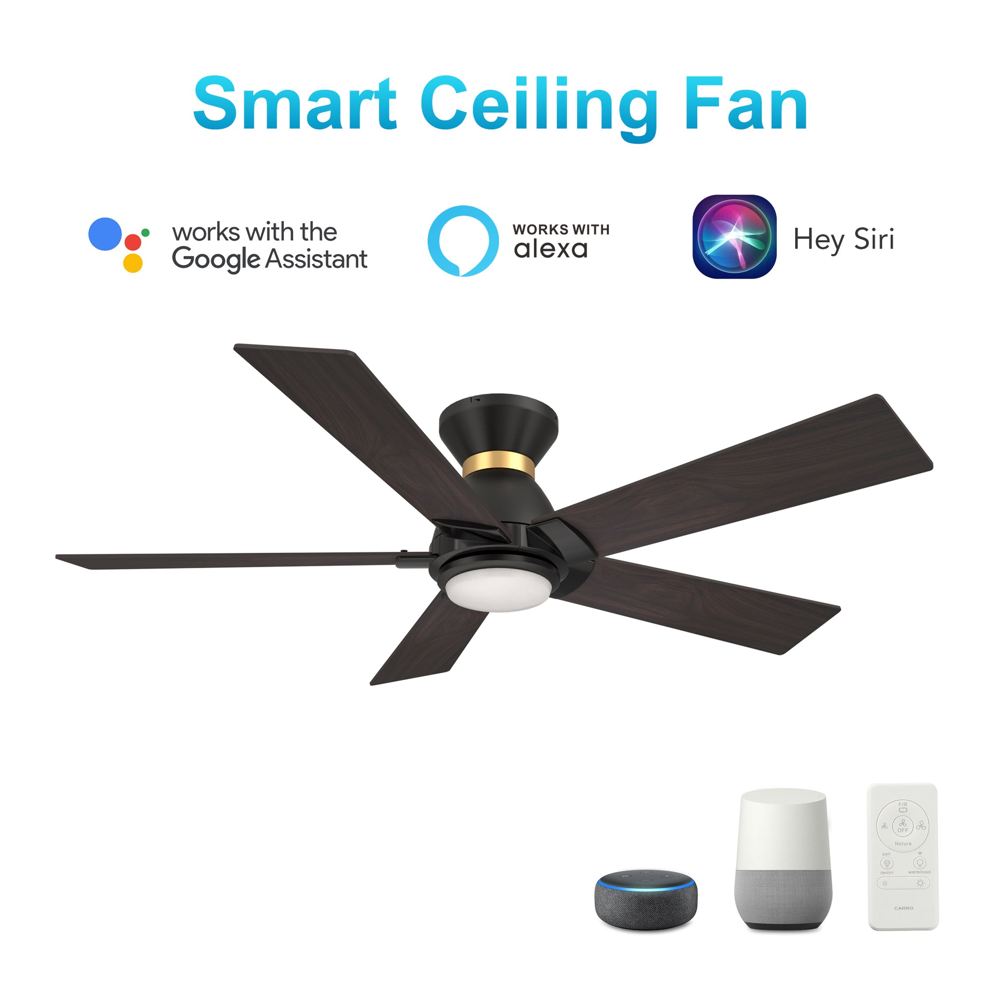 Carro Home ASCENDER 52 inch 5-Blade Flush Mount Smart Ceiling Fan with LED Light & Remote Control - Black/Walnut (Gold Detail & Reversible Blades) 