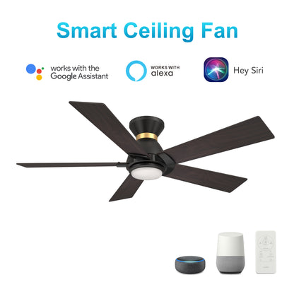 Carro Home ASCENDER 52 inch 5-Blade Flush Mount Smart Ceiling Fan with LED Light & Remote Control - Black/Walnut (Gold Detail & Reversible Blades) 