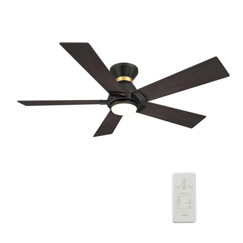 Carro Home ASCENDER 52 inch 5-Blade Flush Mount Smart Ceiling Fan with LED Light & Remote Control - Black/Walnut (Gold Detail & Reversible Blades) 