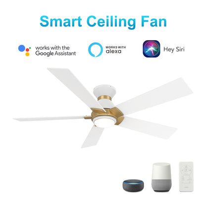 Carro Home ASCENDER 52 inch 5-Blade Flush Mount Smart Ceiling Fan with LED Light & Remote Control - White/White (Gold Detail) Fan Blades
