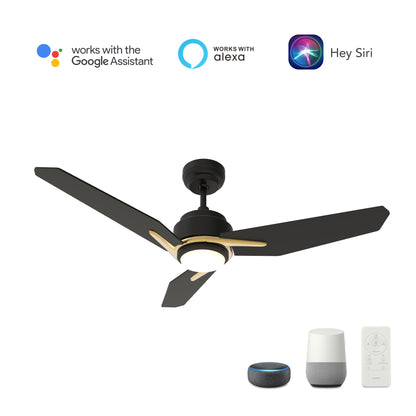 CALEN 56 inch 3-Blade Smart Ceiling Fan with LED Light Kit & Remote Control- Black/Black (Gold Detail)