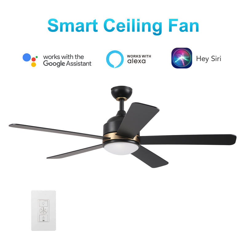 Carro USA SIMOY 52 inch 5-Blade Smart Ceiling Fan with LED Light Kit & Wall Switch - Black/Black (Gold Detail)