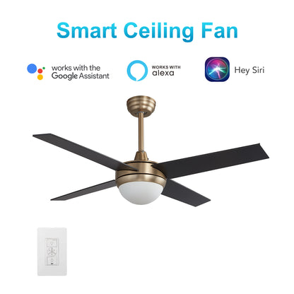 Carro NEVA 52 inch 4-Blade Smart Ceiling Fan with LED Light Kit & Smart Wall Switch - Gold/Black